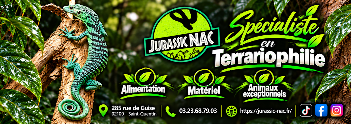 10 jurassic nac 1