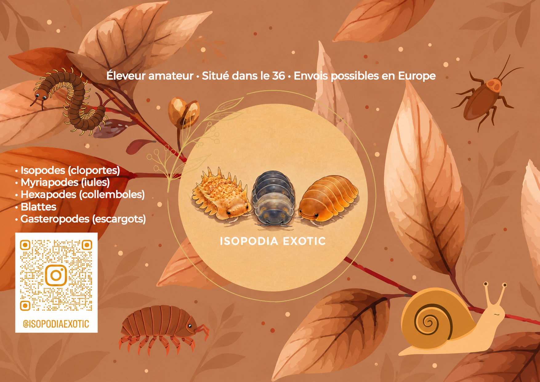 13 isopodia exotic 1