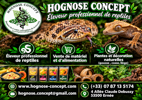 17 hognose concept 1