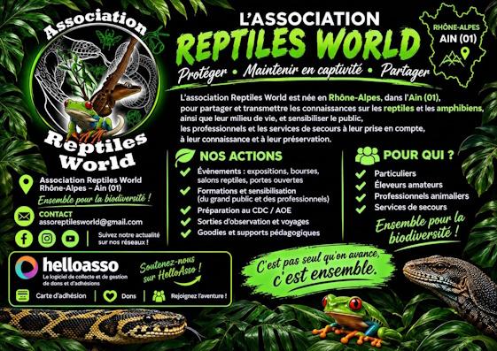 17 reptile world 1