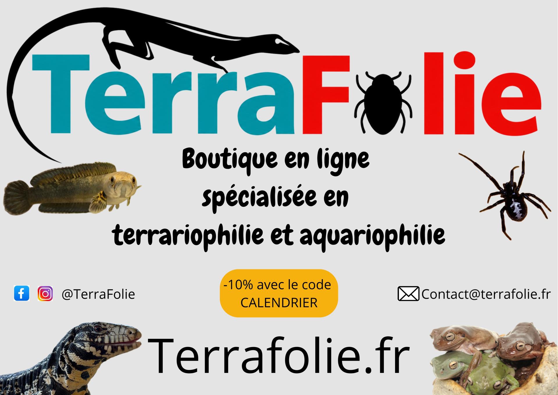 17 terrafolie 1