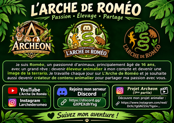 19 l arche de romeo 1