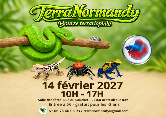 2 terranormandy 1