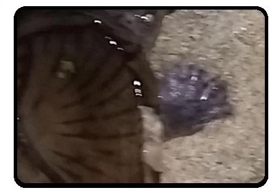 20170429 211542 copie