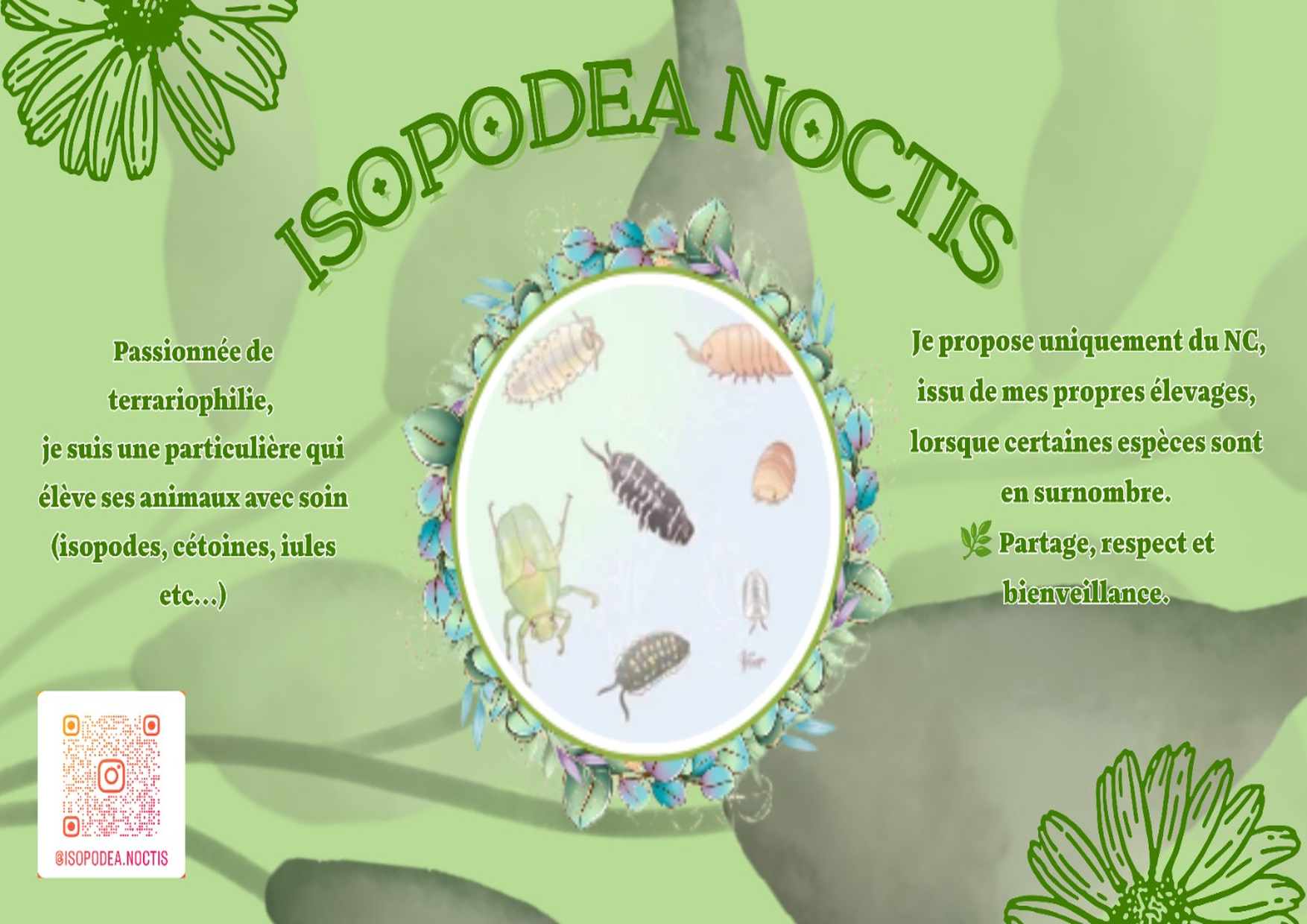 22 isopodea noctis 1
