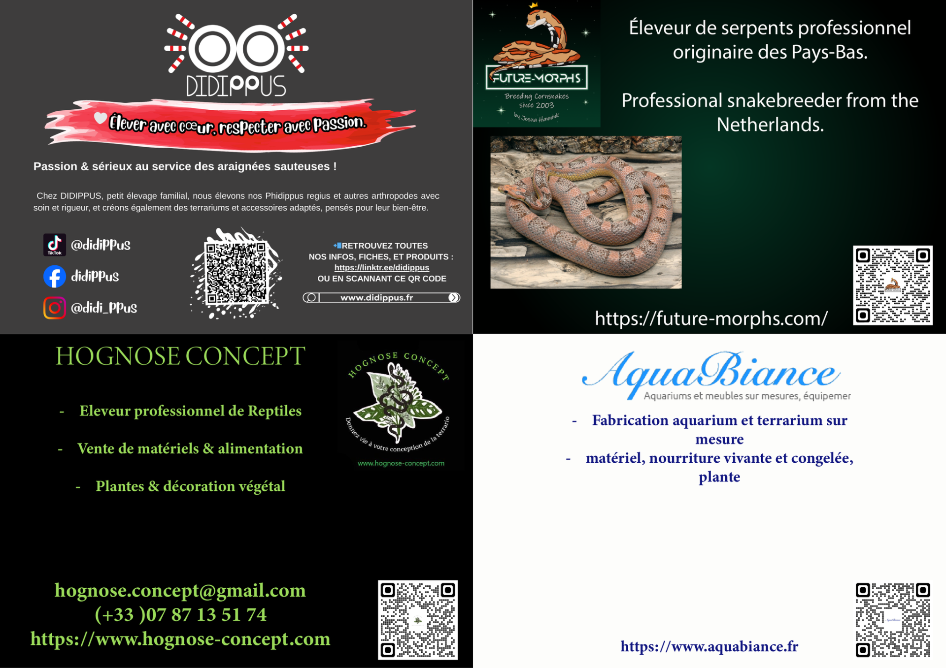 598251981 899350759267528 6436270257168978515 n