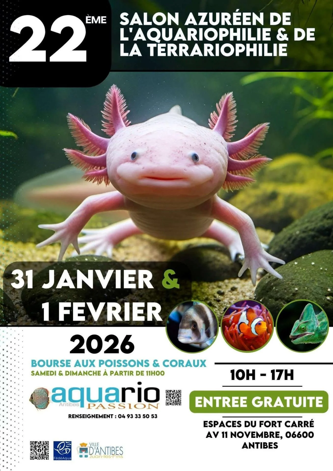 C1b18580 d1b5 4719 8584 50f2bfcf10e2